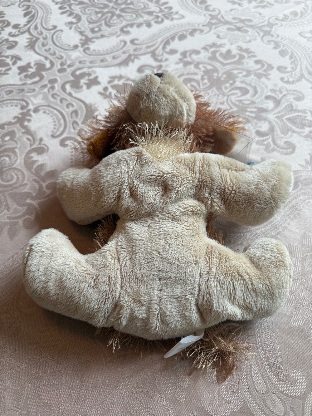 Webkinz Cocker Spaniel No Code - Picture 4 of 6